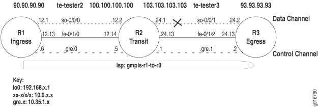GMPLS 网络拓扑结构