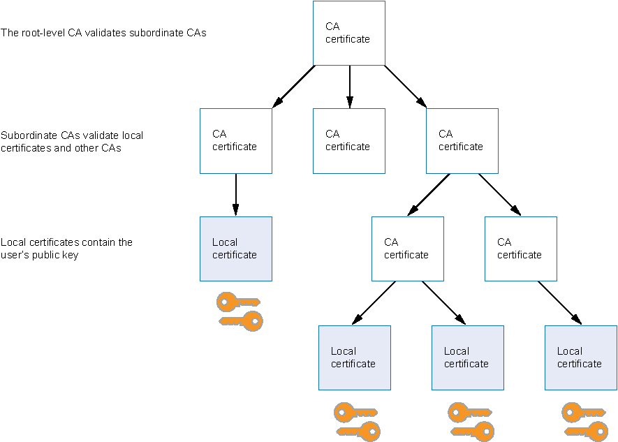 信頼の PKI 階層 - CA ドメイン