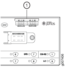 Alarm Relay Contacts