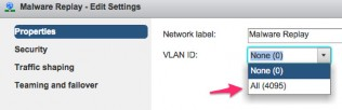 vSwitch VLAN Troubleshooting Config in port-groups