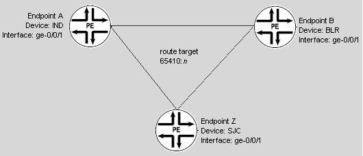 Multipoint-to-Multipoint Service