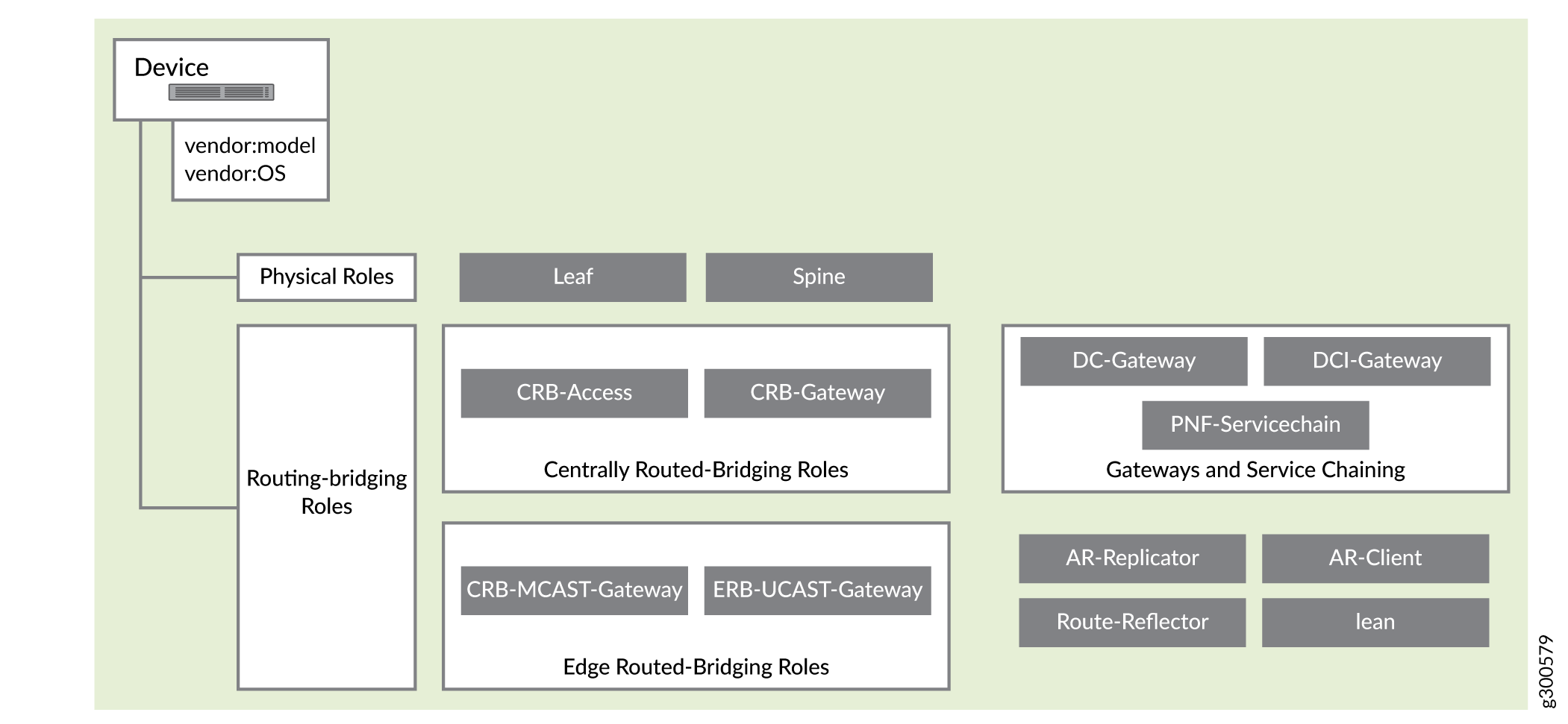 Supported Physical Roles and Routing Bridging Roles