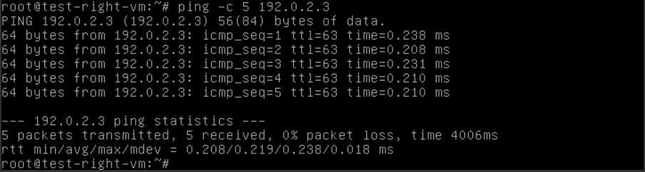 Ping test-left-VM