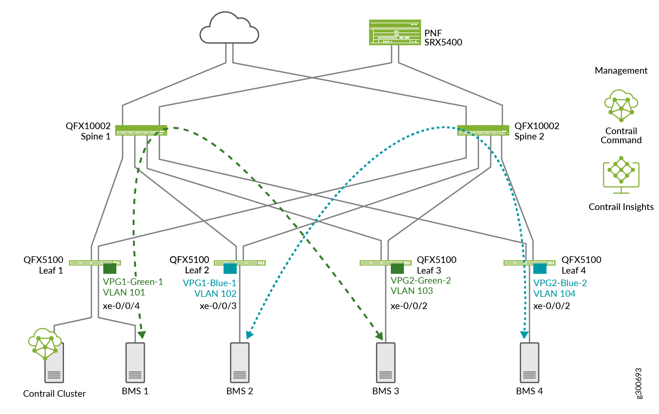 Virtual Port Groups Attached to Virtual Networks