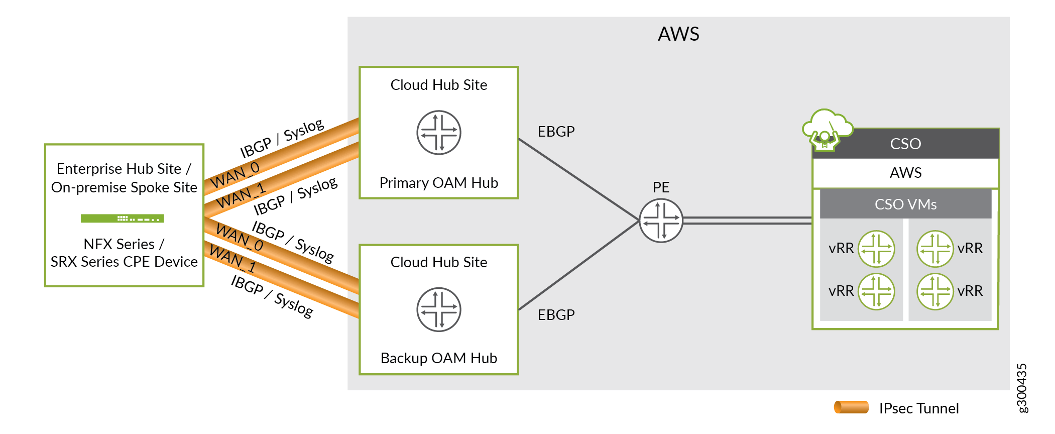 Secure OAM Network Redundancy