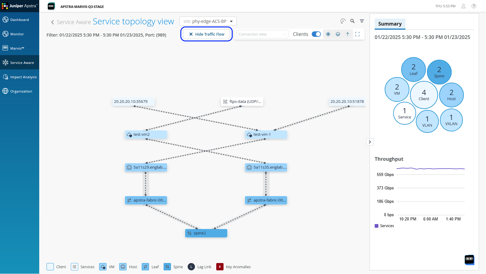 Service Topology View - Traffic Flow