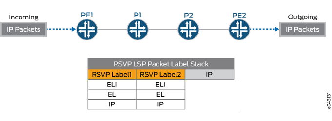 Entropy Label for RSVP LSP