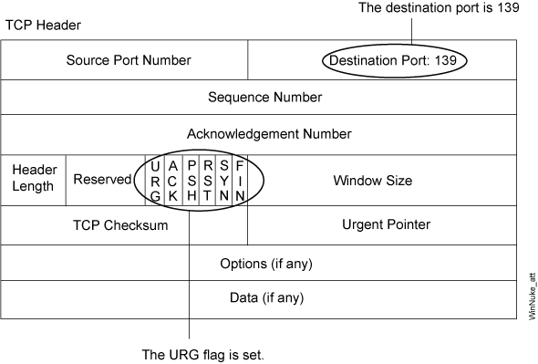 WinNuke Attack Indicators