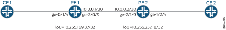 EVPN with Virtual Switch Support