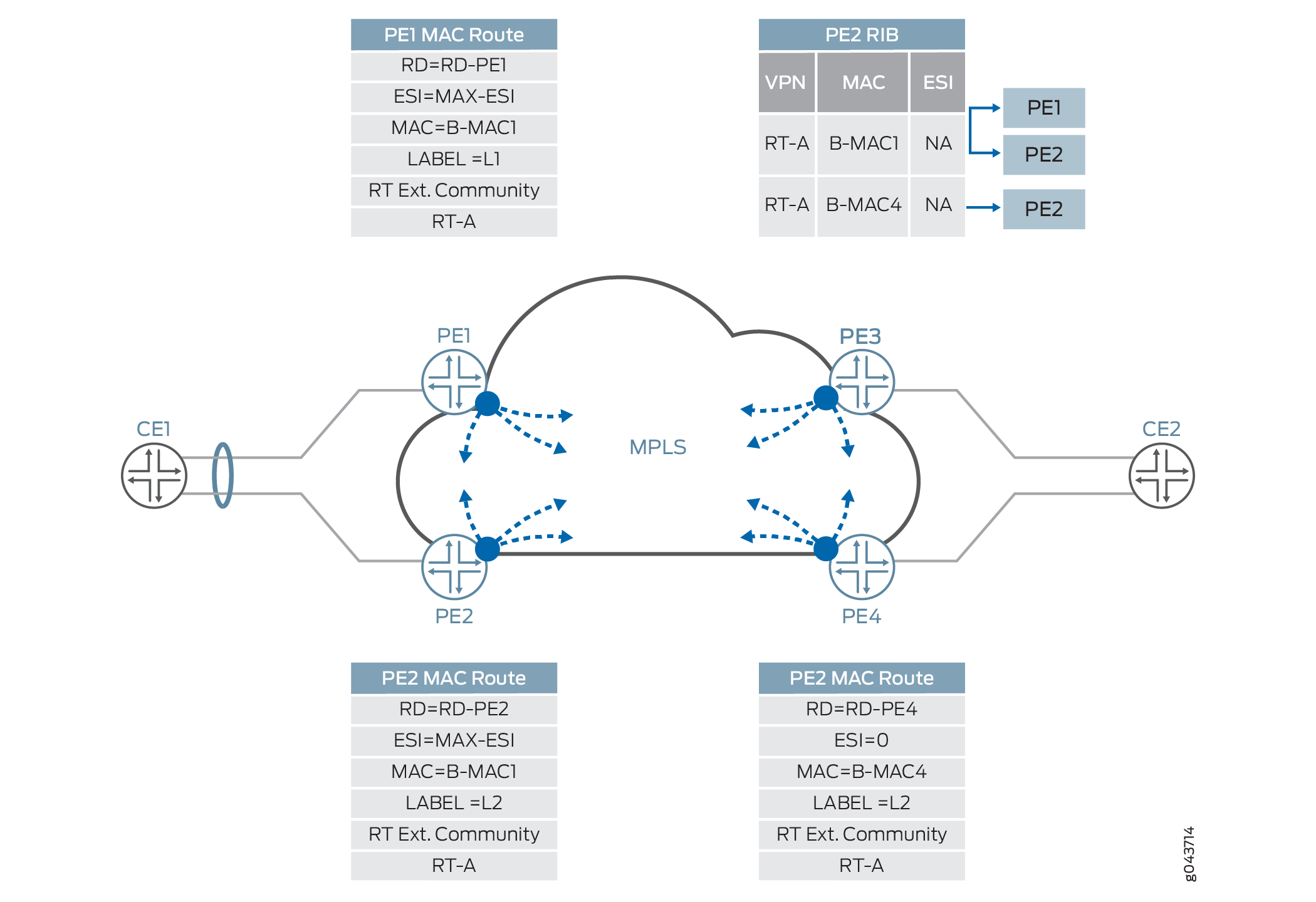 Ethernet MAC Routes Discovery