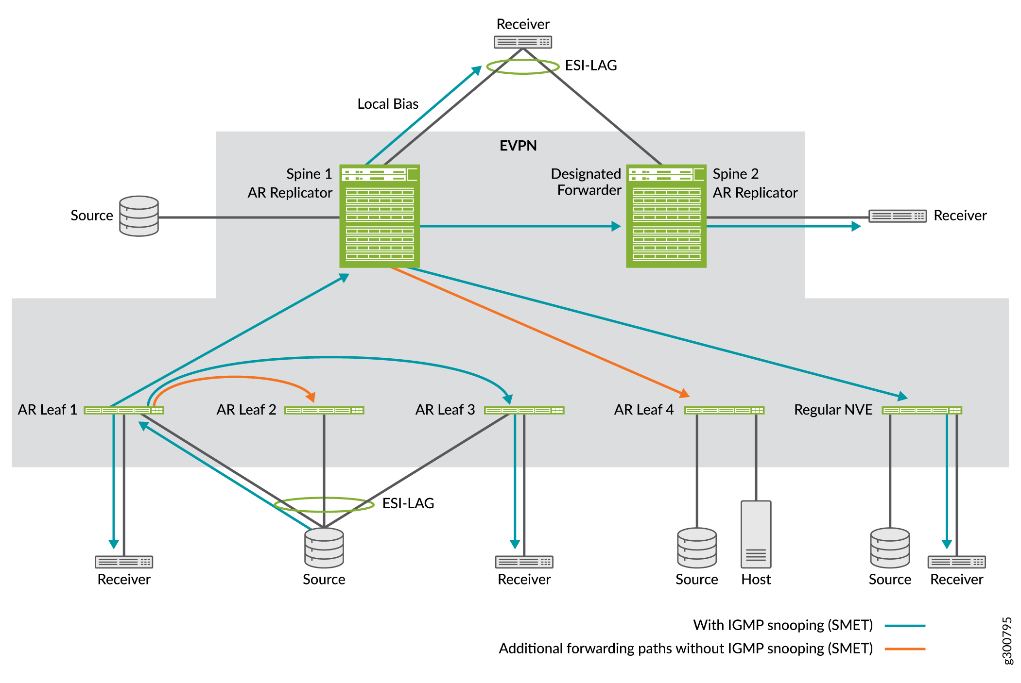 Source Traffic Ingress at an AR Leaf Device (Multihomed Source)