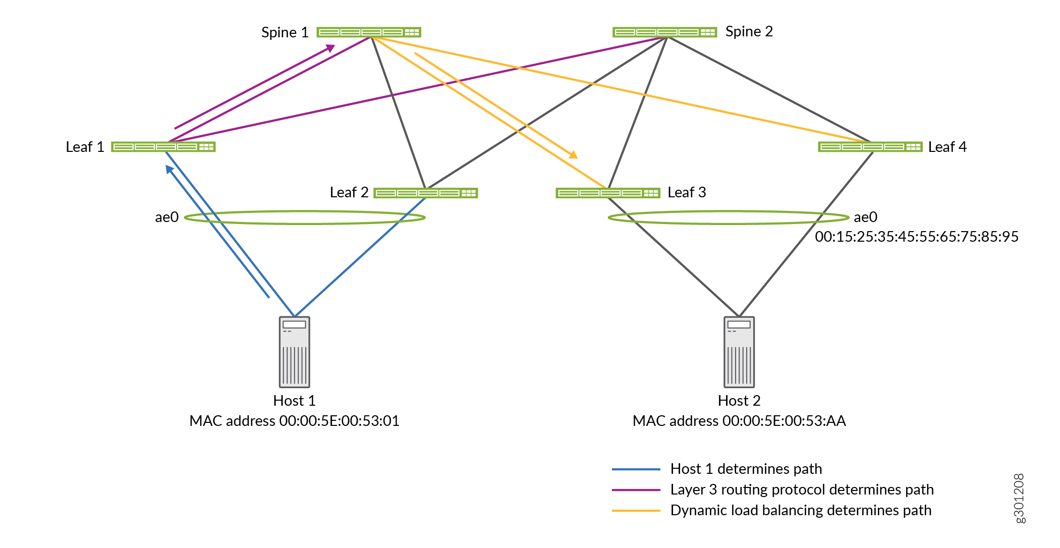 Summary of Path Options and Choices