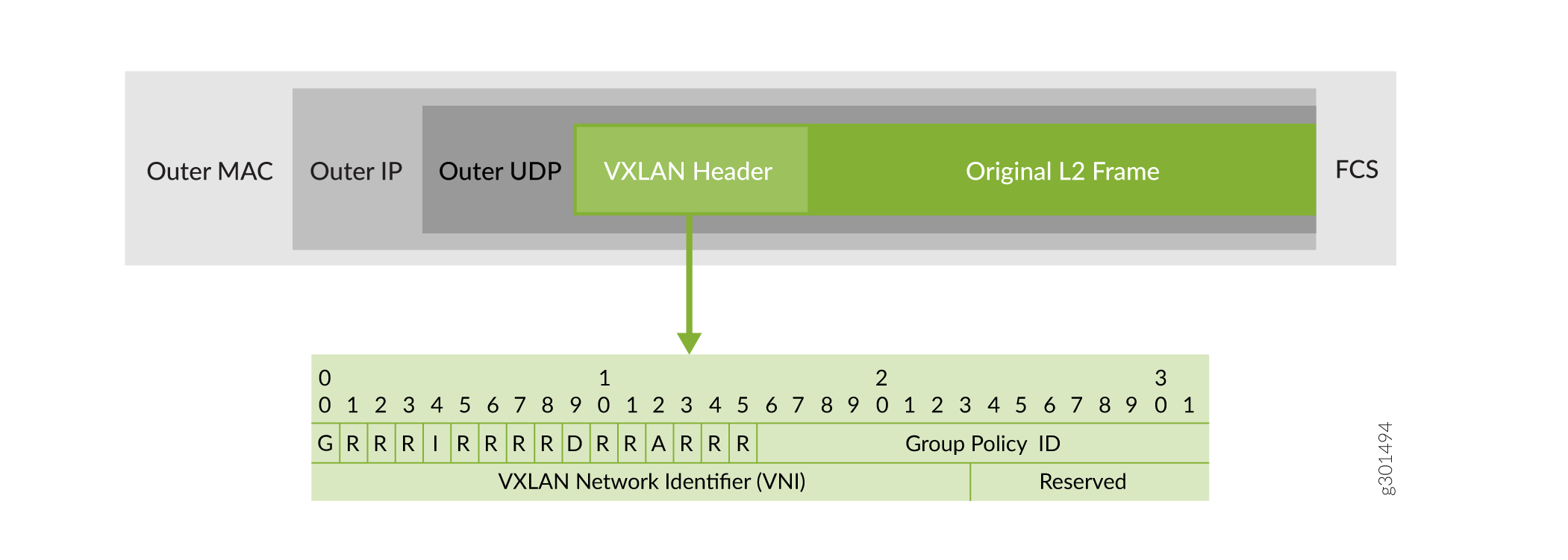 VXLAN Header Fields