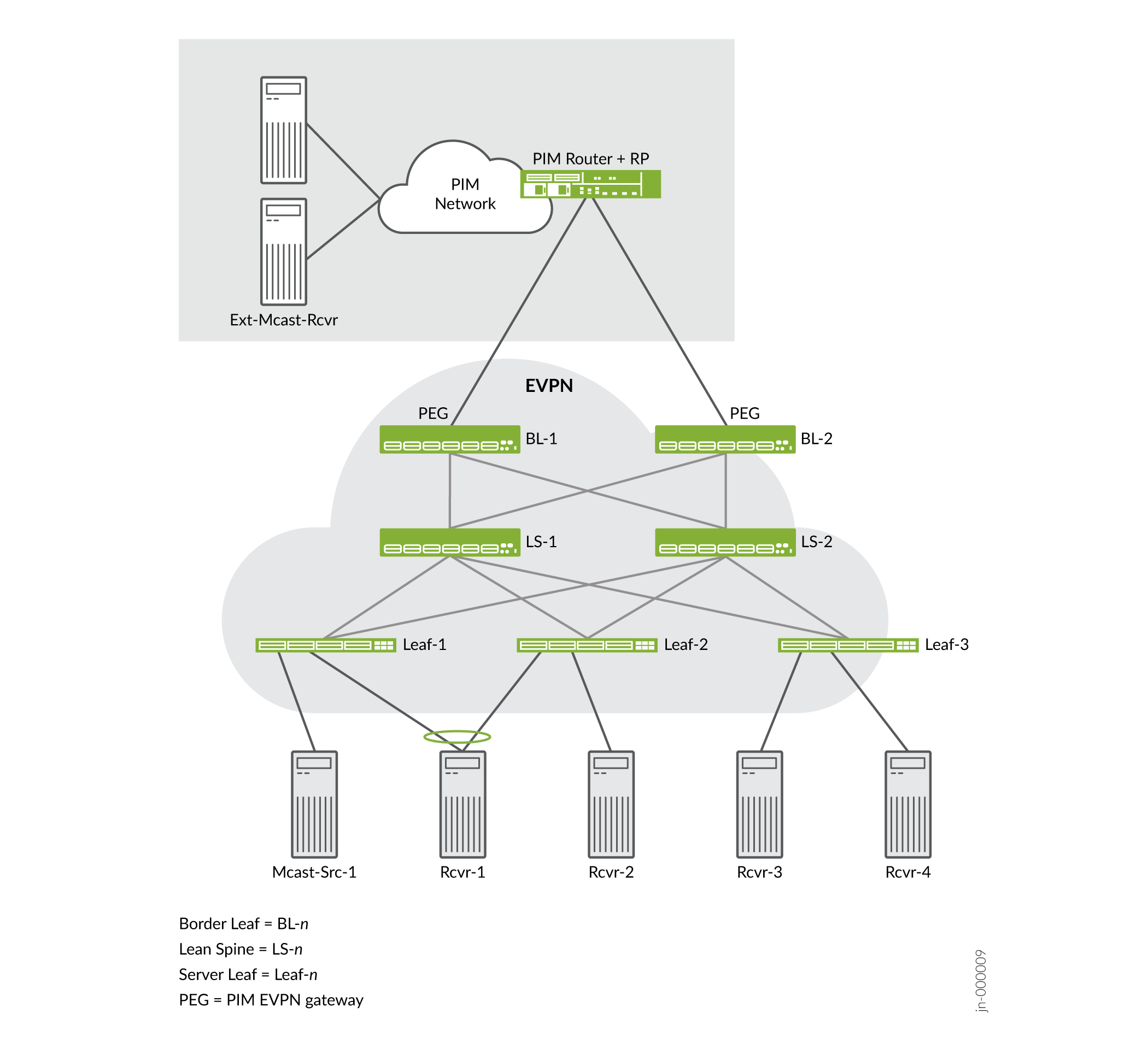 EVPN Fabric with OISM