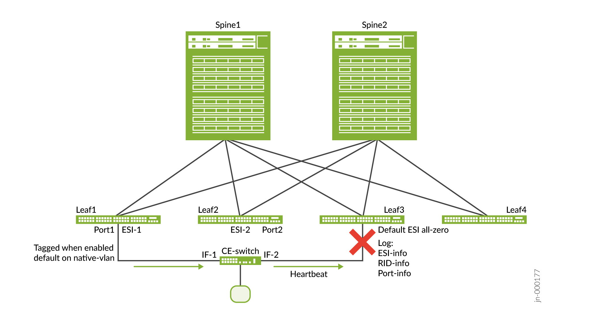 No ESI on Looped Ports