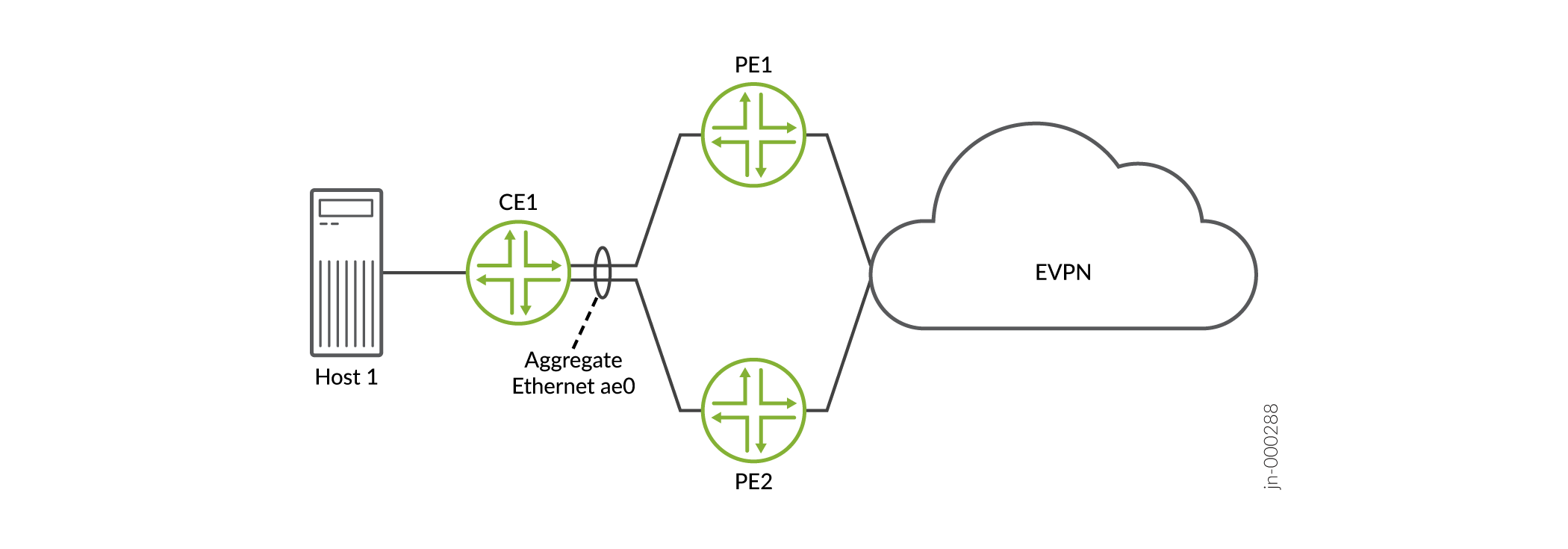 Simple Multihomed Topology