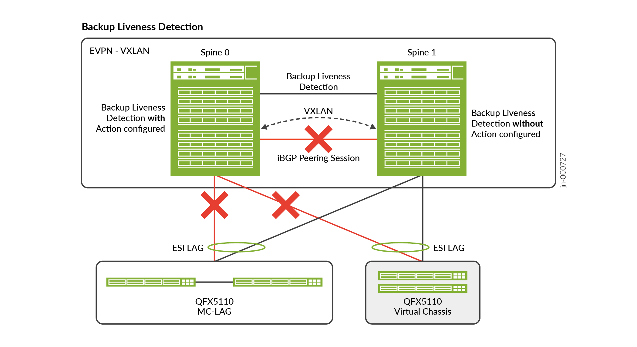 EVPN Node Detection (Backup Liveness Detection)