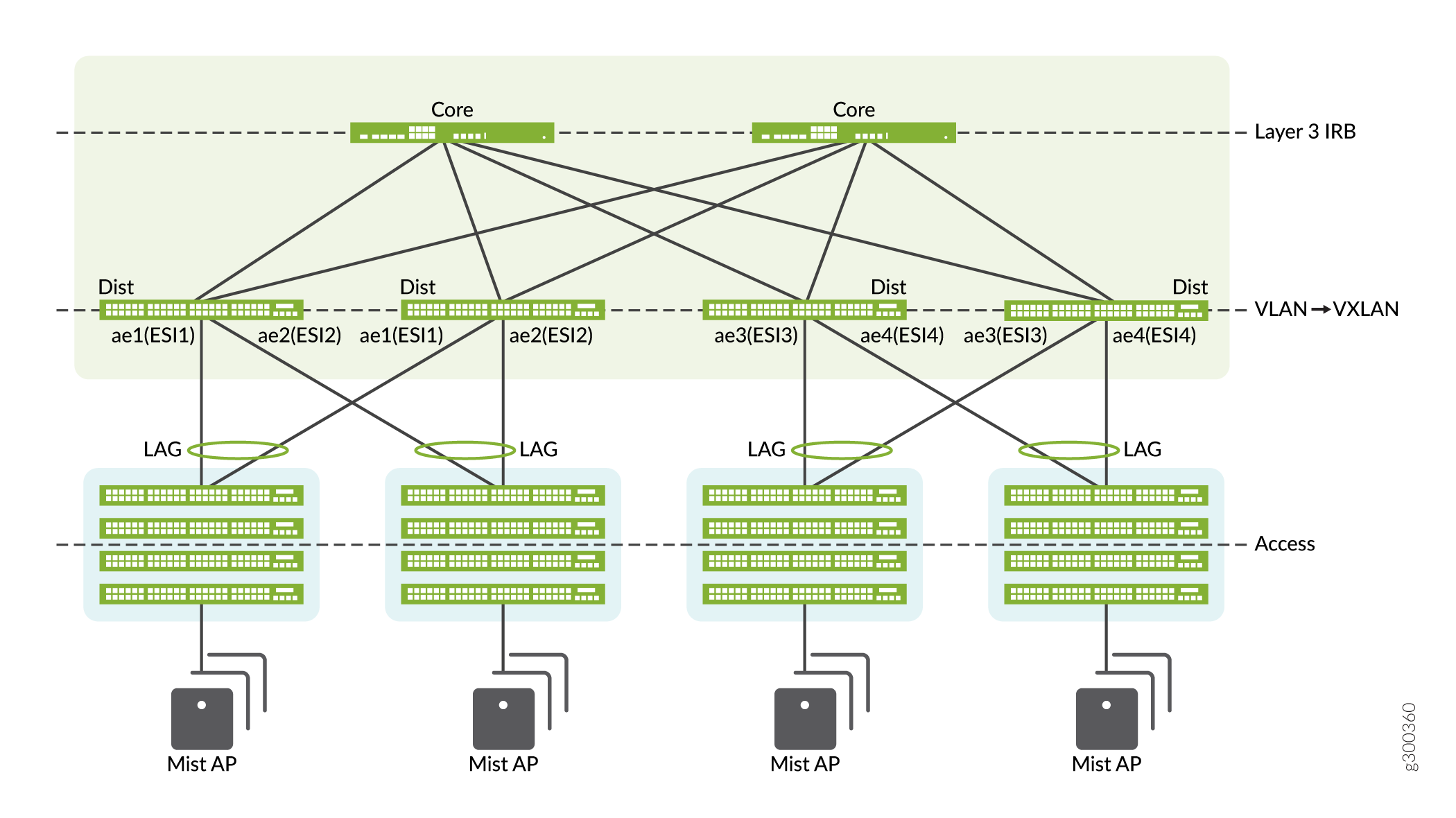 Centrally-Routed Bridging (CRB) Topology