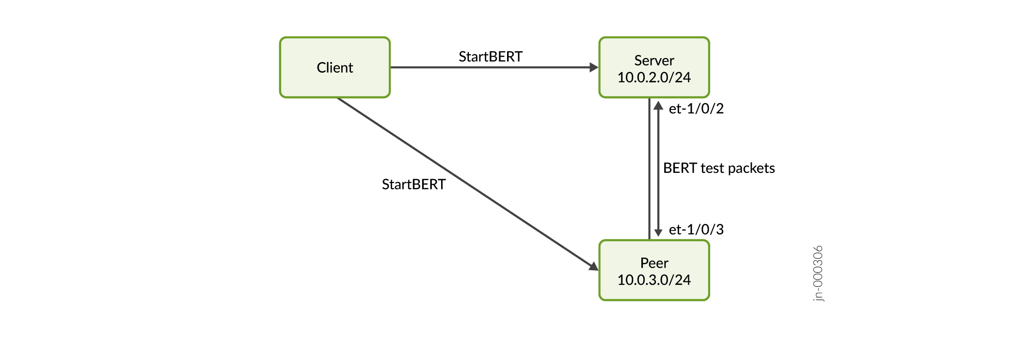 Network Topology During the BERT