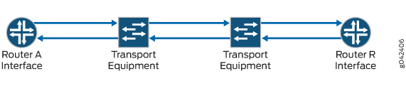 Two Router Interfaces Connected Through Transport Equipment