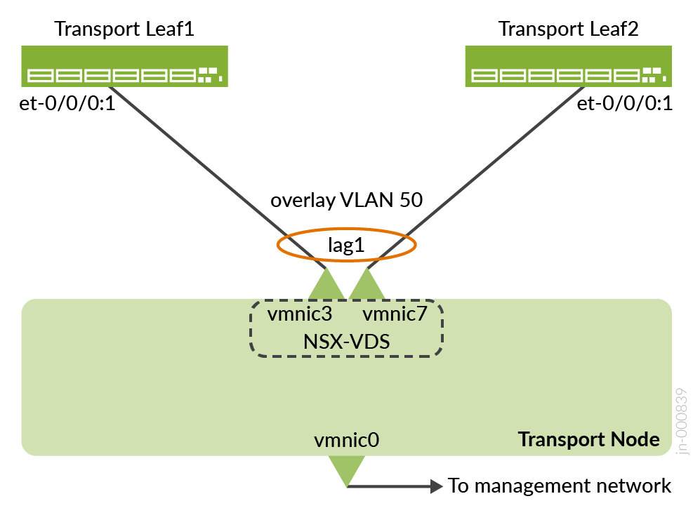 A diagram of a transport leaf Description automatically generated