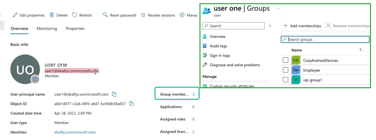 User Details on the Azure AD