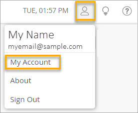 Mist Account Button and My Account Option