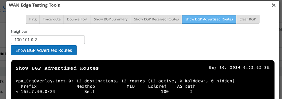 BGP Advertized Routes (SRX Series Firewalls)