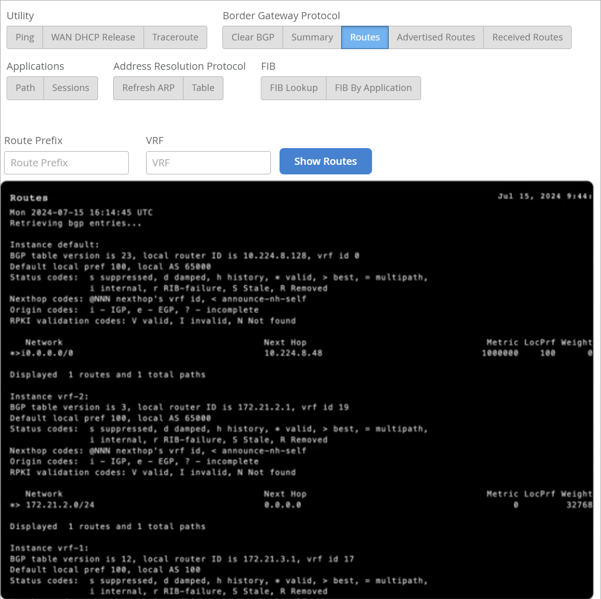 View BGP Routes (Session Smart Routers)