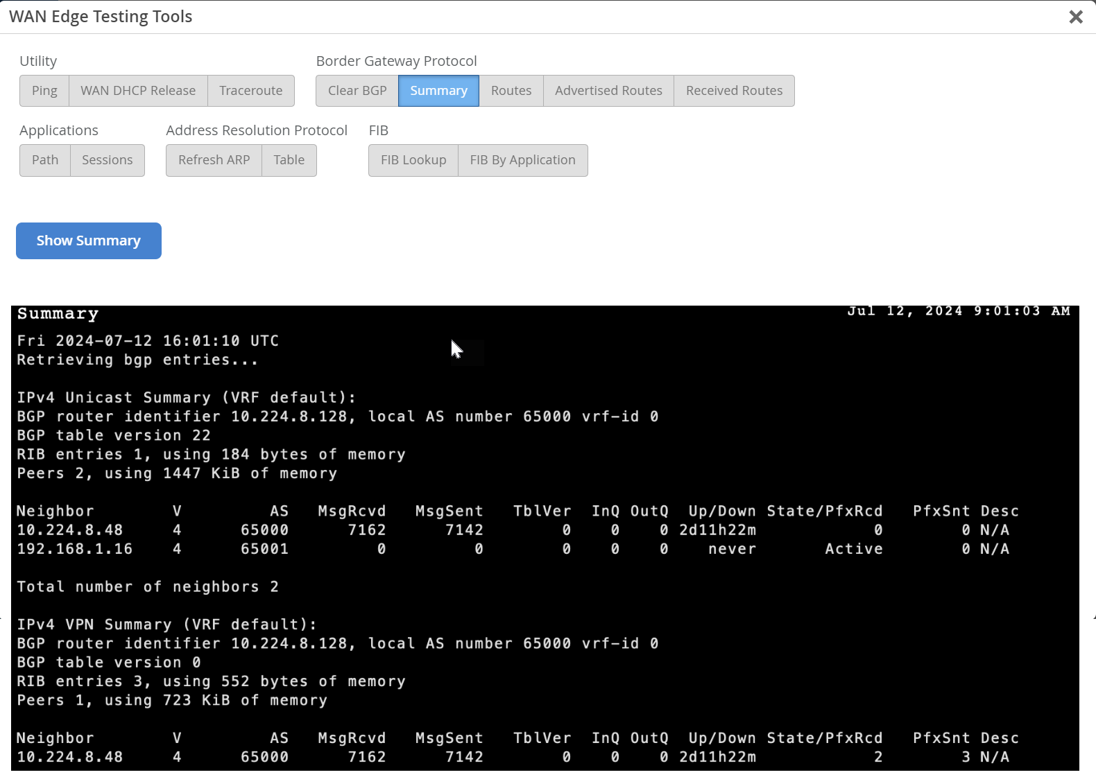 View BGP Summary (Session Smart Routers)