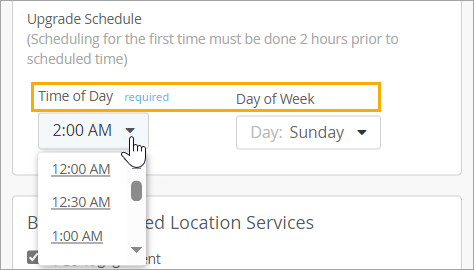 Location of the Time of Day and Day of Week Options