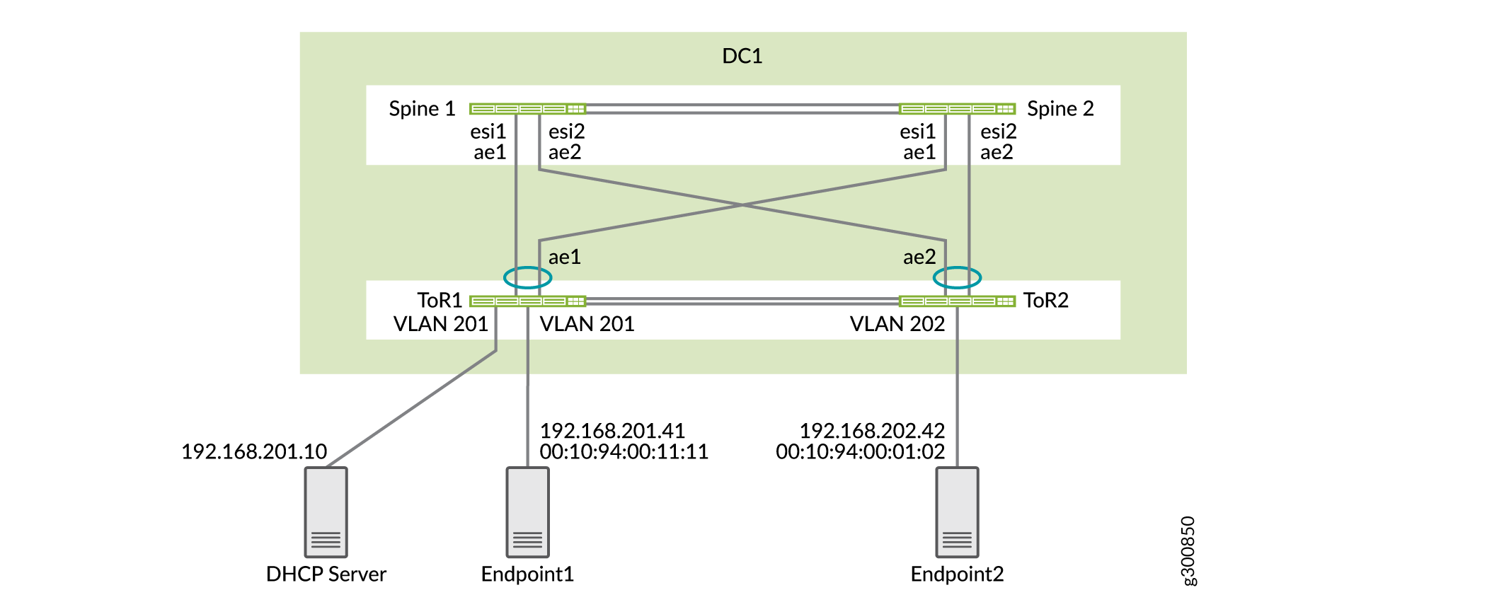 DHCP Relay Topology