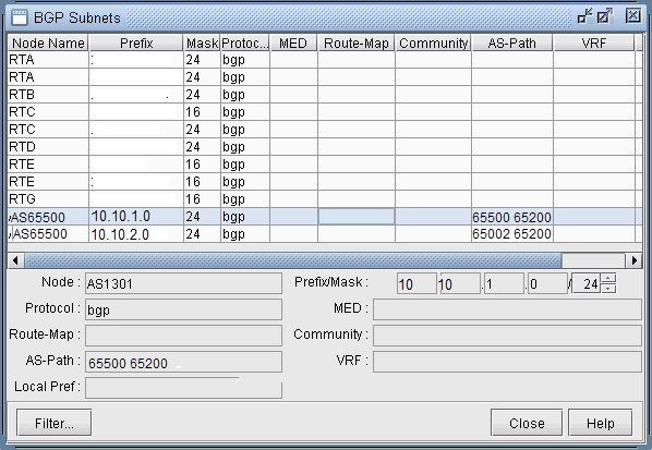 View BGP Subnets Window