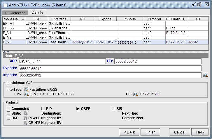 Assigning the PE-CE Protocol in the Details tab