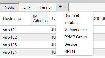 Adding the P2MP Group Tab