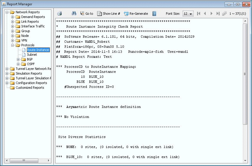 Routing Instance Integrity Check Report