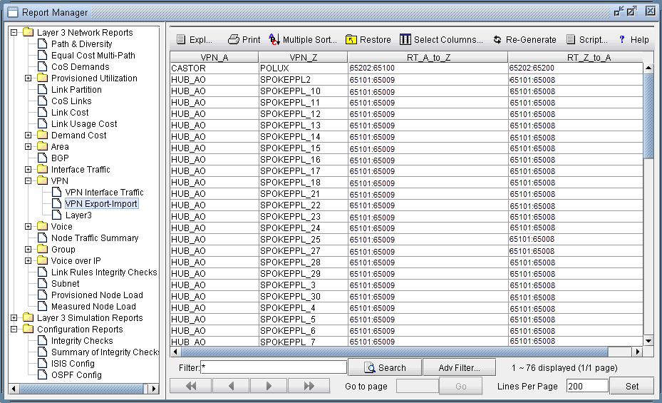 VPN Export-Import report