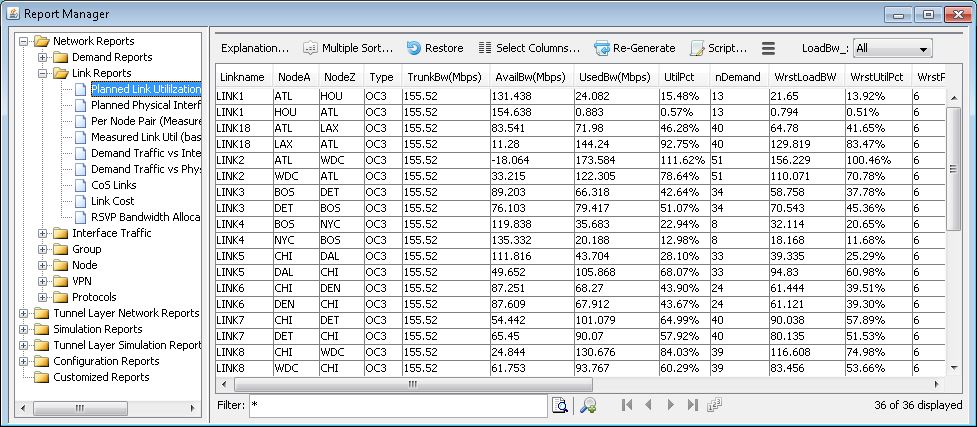 Report Manager Window - Report View