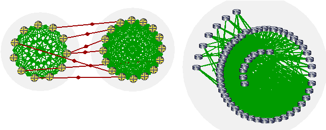 BGP Logical Views