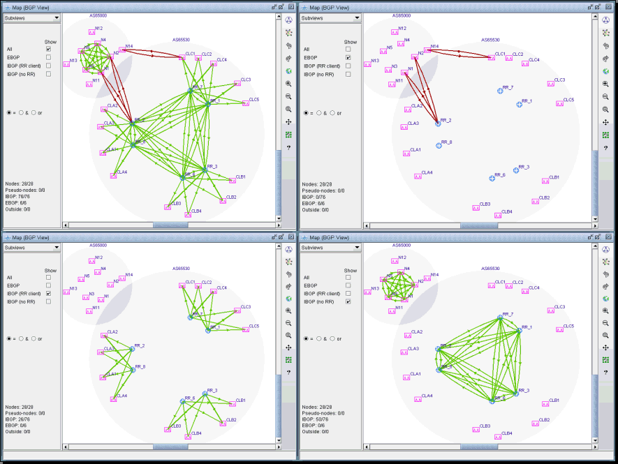 Different BGP Subviews (the Juniper routers are route reflectors in this example)