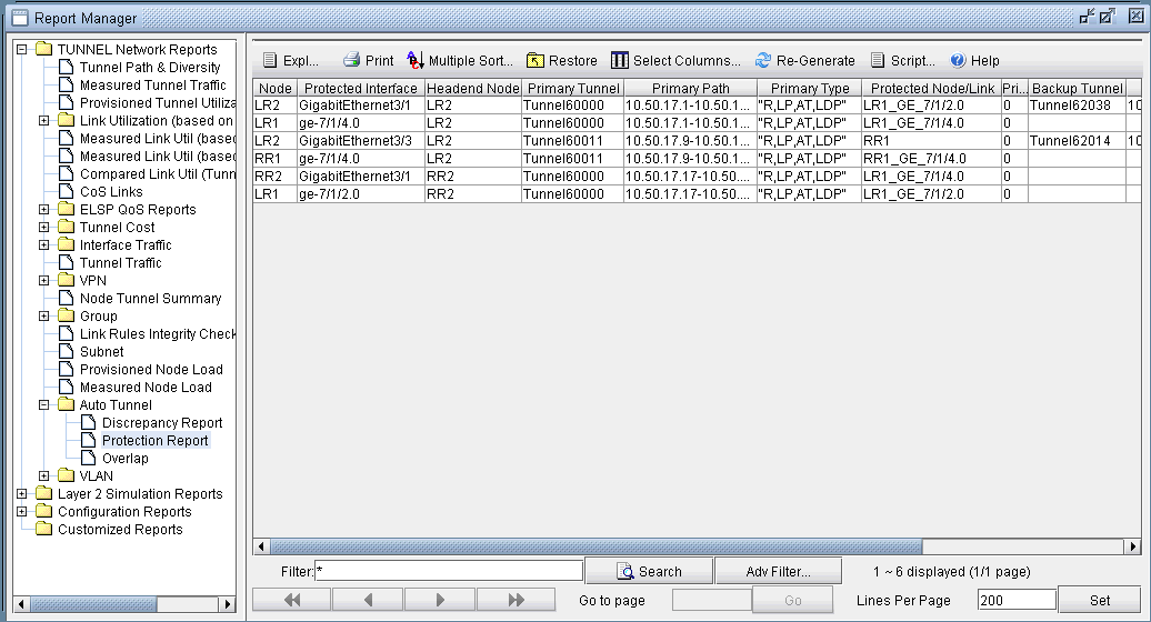 Protection Report Showing Protected Interfaces in the Network