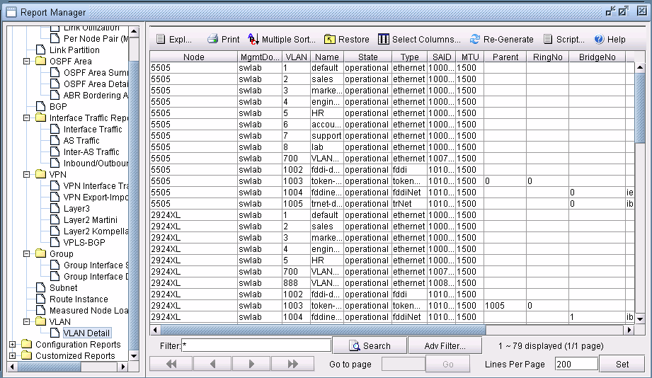 VLAN Report