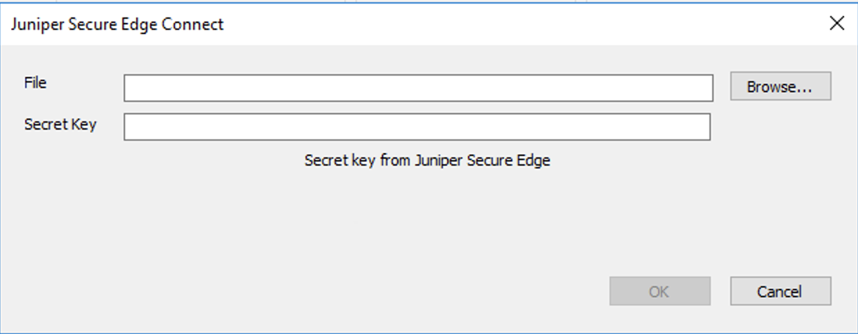 Juniper Secure Edge Connect Page