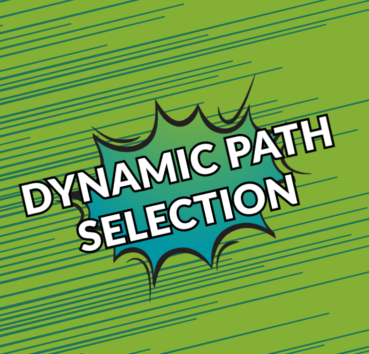 Dynamic Path Selection Dynamic Path Selection